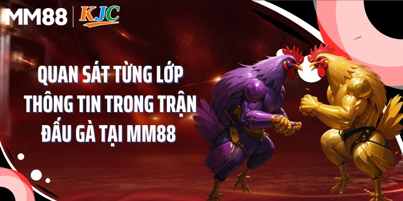 Quan sát từng lớp thông tin trong trận đấu gà tại MM88