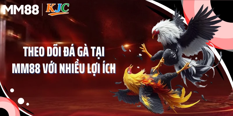 Theo dõi đá gà tại MM88 với nhiều lợi ích